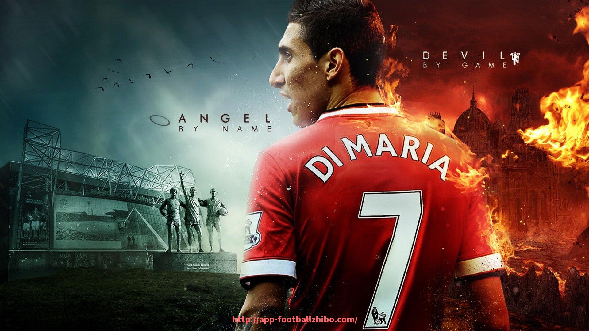 足球直播-家用健身器材种类分析及其在体育日常训练中的匹配选择